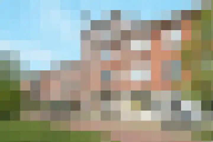 Mient 561 Den Haag thumbnail 11
