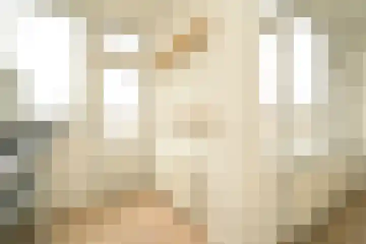 Mient 561 Den Haag thumbnail 22