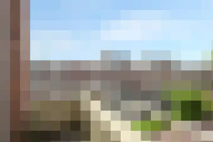 Mient 561 Den Haag thumbnail 33