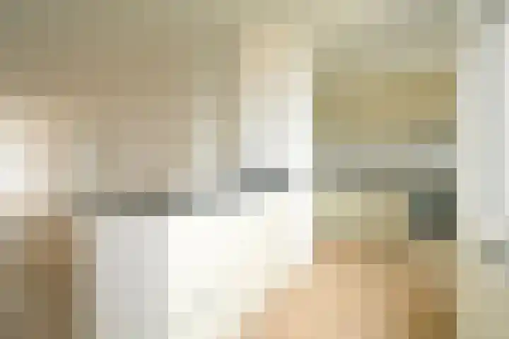 Mient 561 Den Haag thumbnail 4