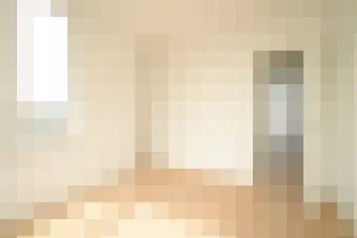 Mient 561 Den Haag thumbnail 43