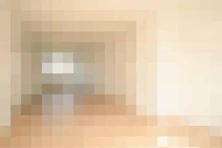 Mient 561 Den Haag thumbnail 5