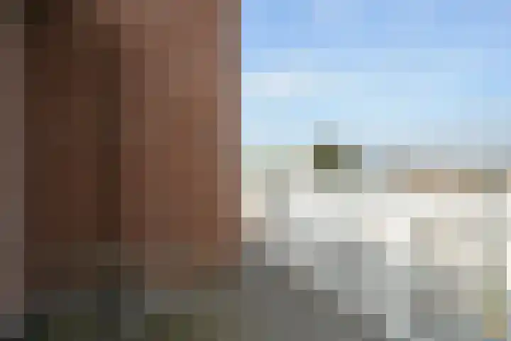 Mient 561 Den Haag thumbnail 51