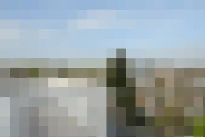 Mient 561 Den Haag thumbnail 52