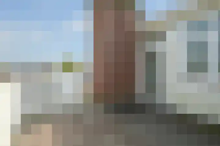Mient 561 Den Haag thumbnail 53