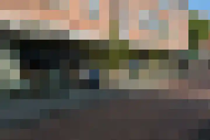 Mient 561 Den Haag thumbnail 56