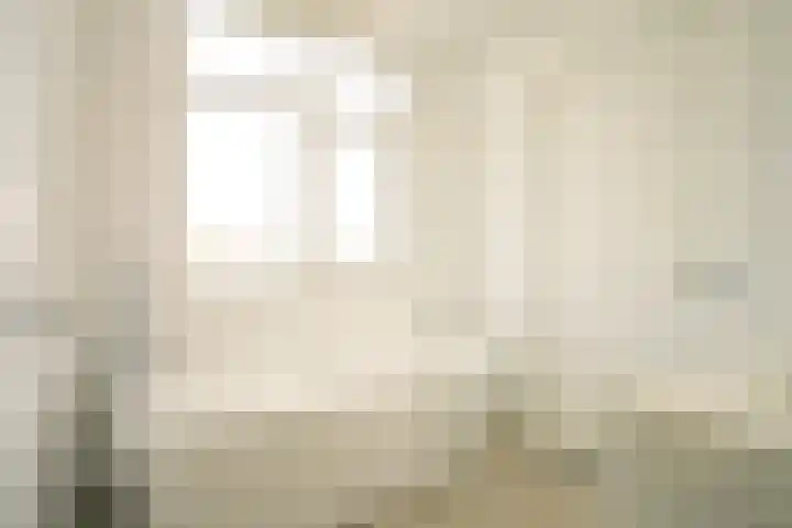 Mient 561 Den Haag thumbnail 7
