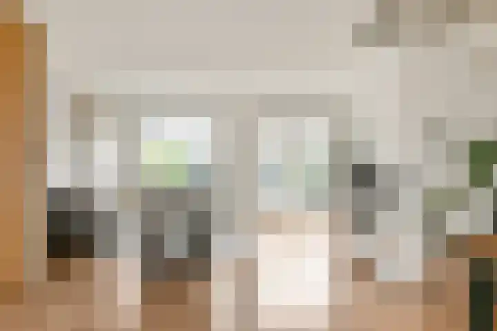 Mient 58 Vijfhuizen thumbnail 11