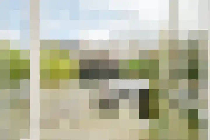 Mient 58 Vijfhuizen thumbnail 20