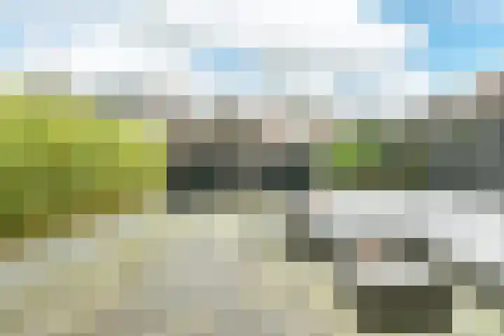 Mient 58 Vijfhuizen thumbnail 21