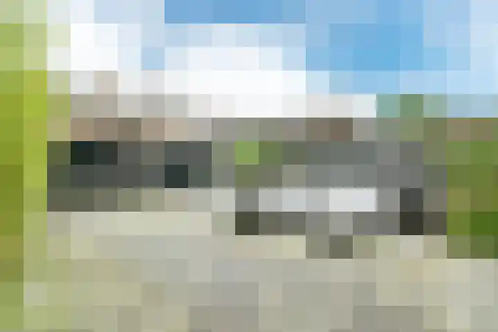 Mient 58 Vijfhuizen thumbnail 22
