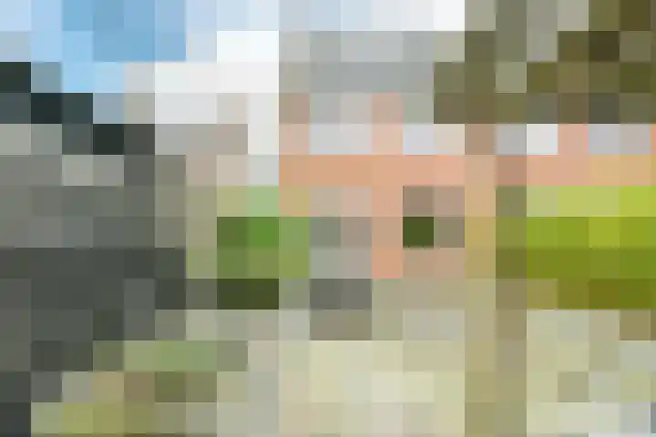 Mient 58 Vijfhuizen thumbnail 25