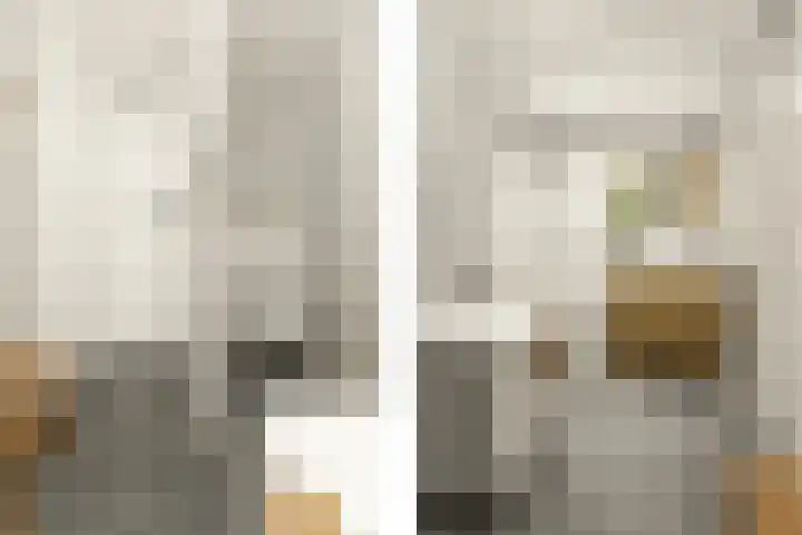 Mient 58 Vijfhuizen thumbnail 28