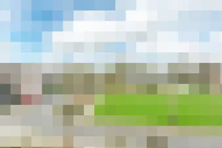 Mient 58 Vijfhuizen thumbnail 40