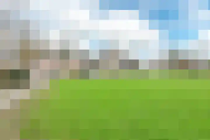 Mient 58 Vijfhuizen thumbnail 41