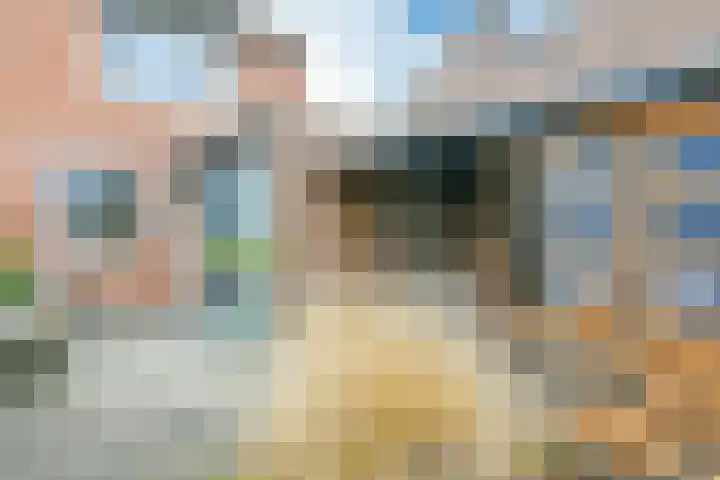 Mient 58 Vijfhuizen thumbnail 5