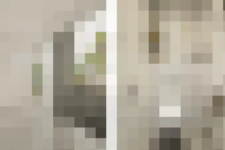 Mient 58 Vijfhuizen thumbnail 8