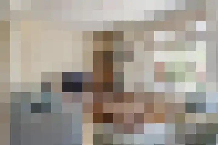 Mient 6 Sijbekarspel thumbnail 11