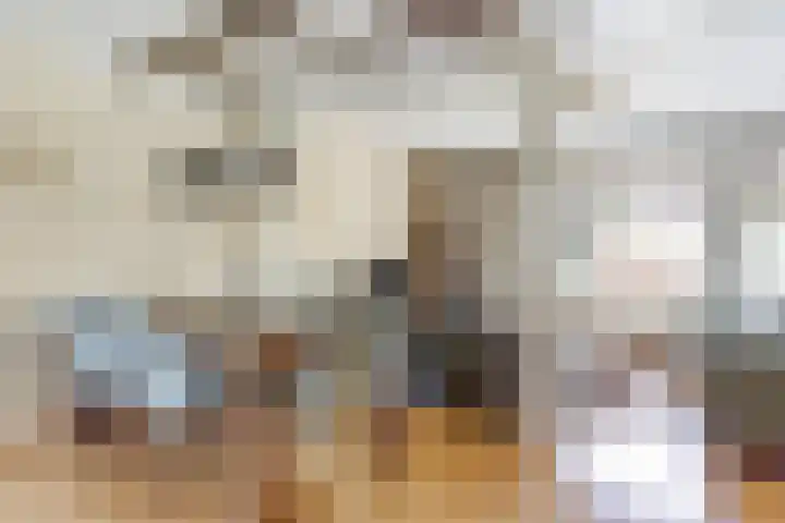 Mient 6 Sijbekarspel thumbnail 13