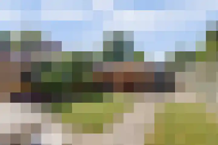 Mient 6 Sijbekarspel thumbnail 17