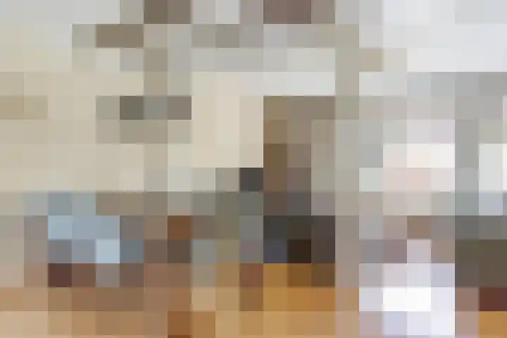 Mient 6 Sijbekarspel foto 2