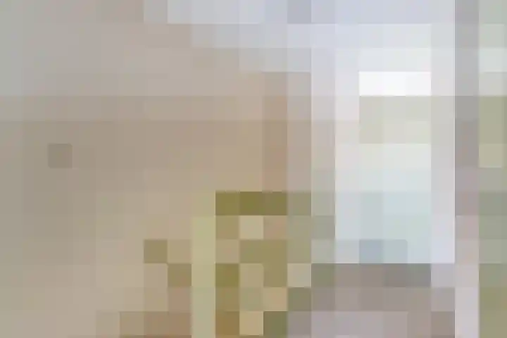 Mient 6 Sijbekarspel thumbnail 20