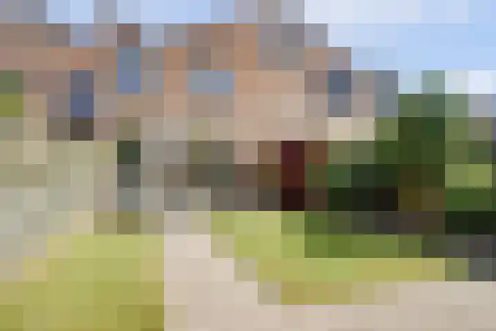 Mient 6 Sijbekarspel thumbnail 30