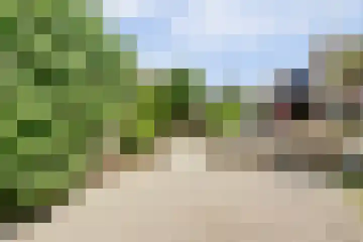 Mient 6 Sijbekarspel thumbnail 31
