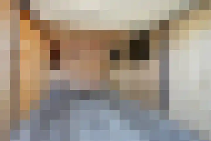 Mient 6 Sijbekarspel thumbnail 35