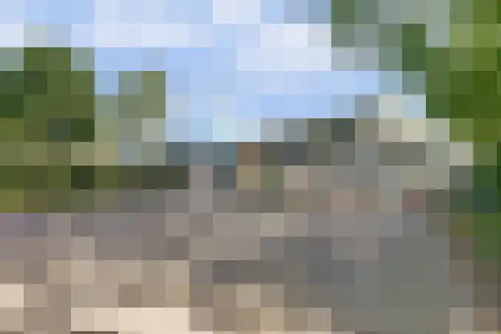 Mient 6 Sijbekarspel thumbnail 38