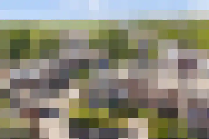 Mient 6 Sijbekarspel thumbnail 39