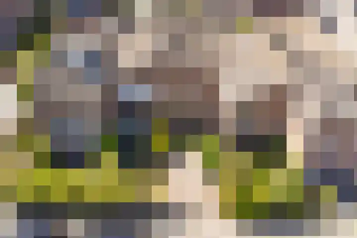Mient 6 Sijbekarspel thumbnail 4