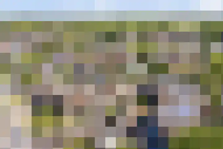 Mient 6 Sijbekarspel thumbnail 40