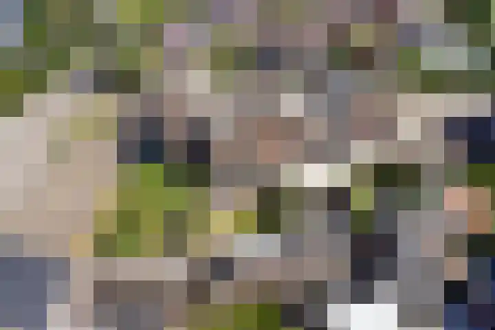 Mient 6 Sijbekarspel thumbnail 41