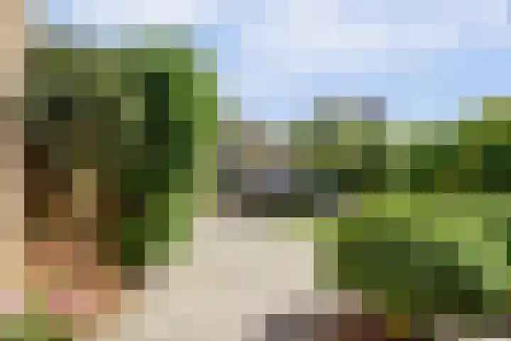 Mient 6 Sijbekarspel thumbnail 5