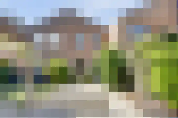 Mient 6 Sijbekarspel thumbnail 52