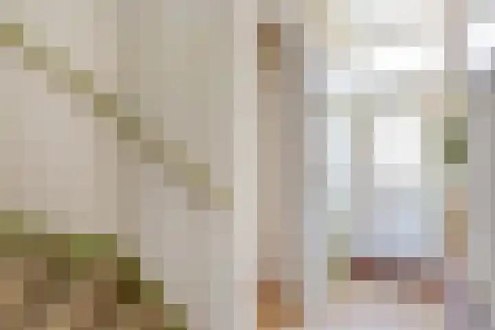 Mient 6 Sijbekarspel thumbnail 6
