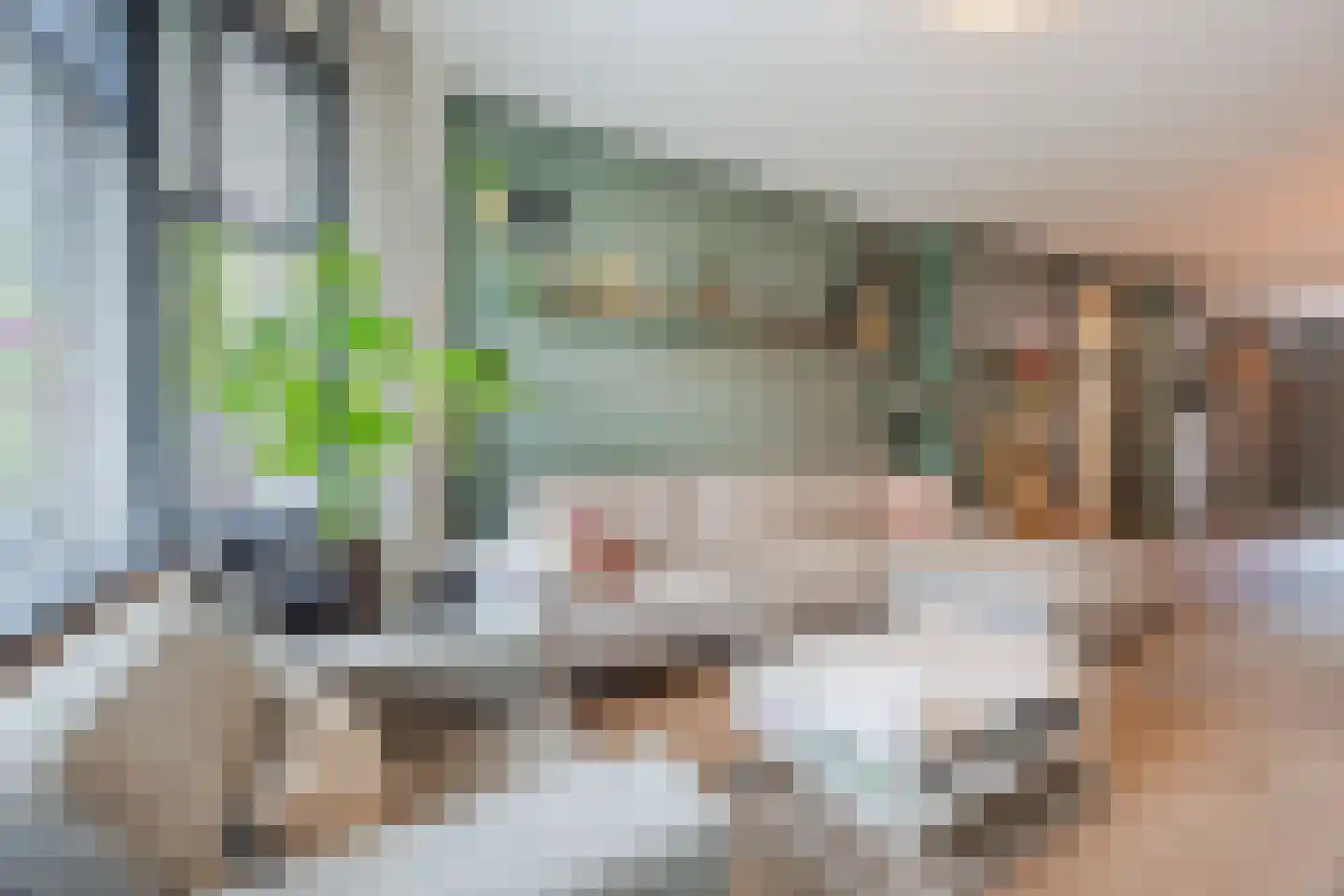 Mient 619 Den Haag thumbnail 6