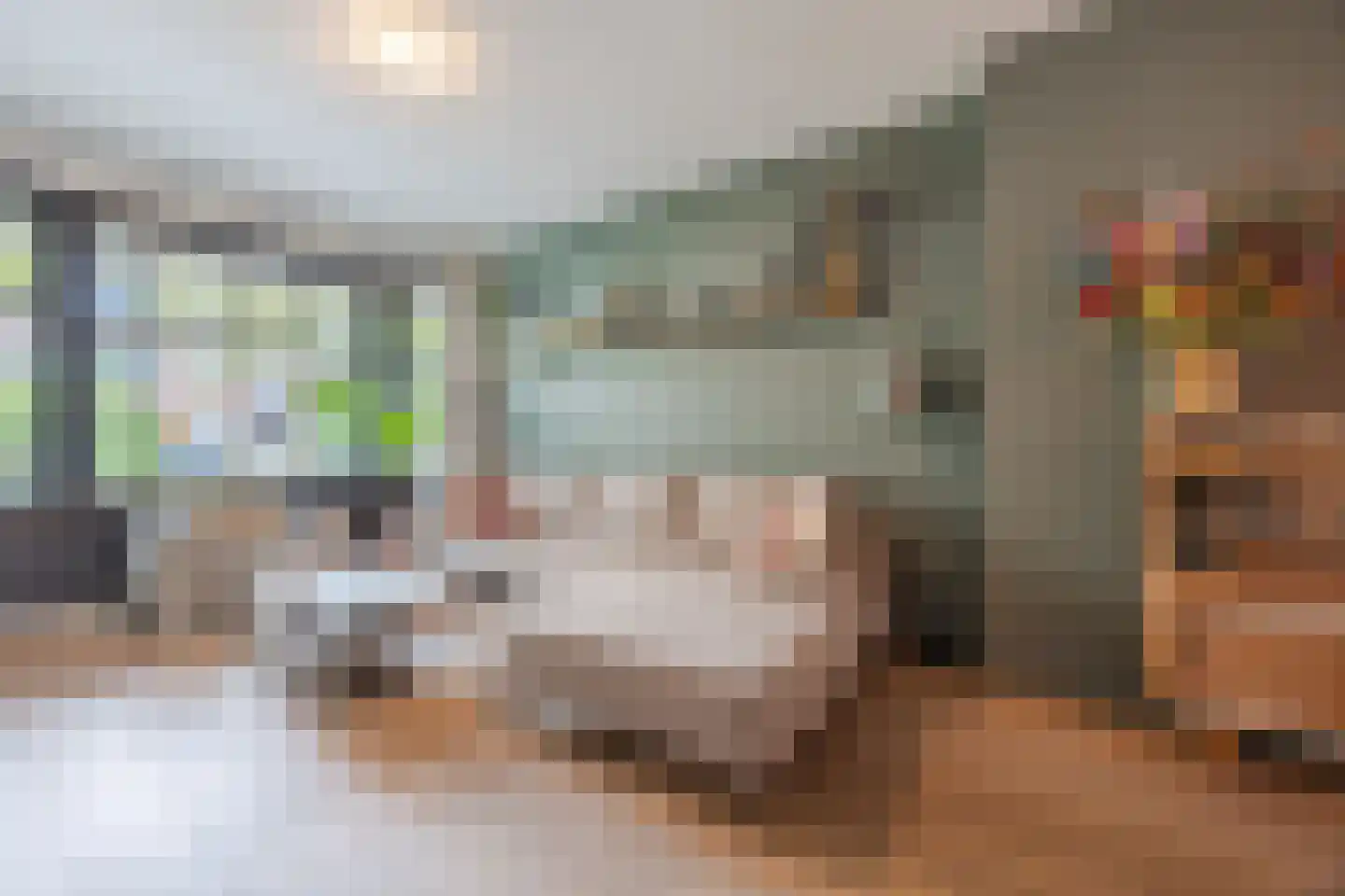 Mient 619 Den Haag thumbnail 7