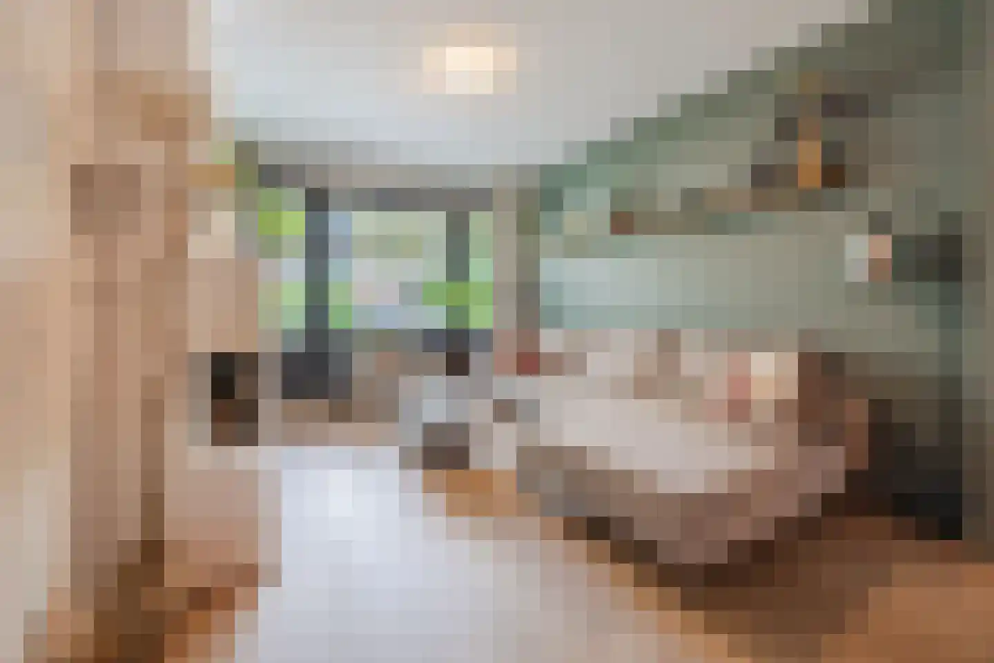 Mient 619 Den Haag thumbnail 8