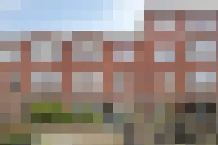 Mient 627 Den Haag thumbnail 24