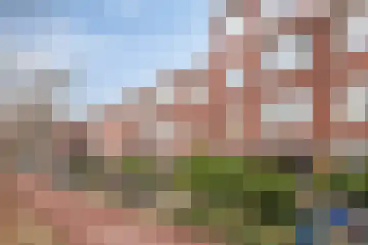 Mient 627 Den Haag thumbnail 27
