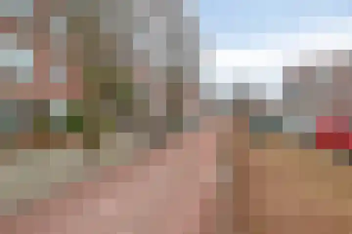Mient 627 Den Haag thumbnail 28