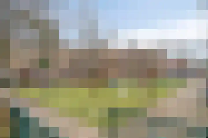 Mient 627 Den Haag thumbnail 29