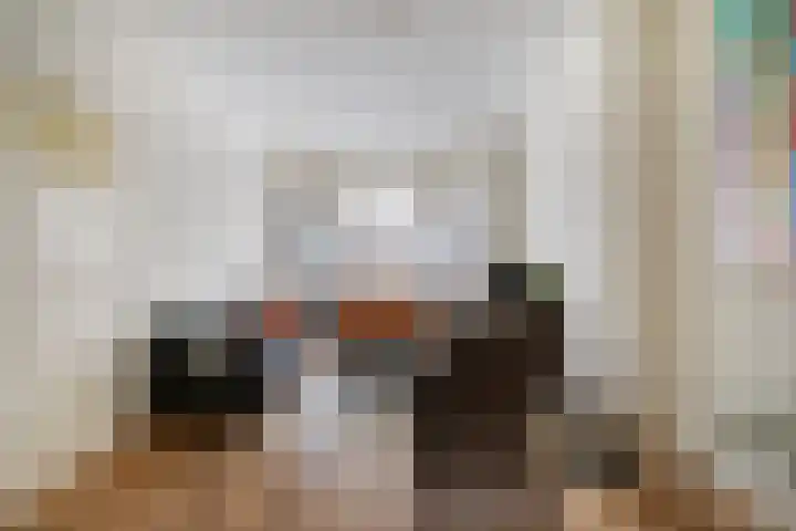 Mient 627 Den Haag thumbnail 4