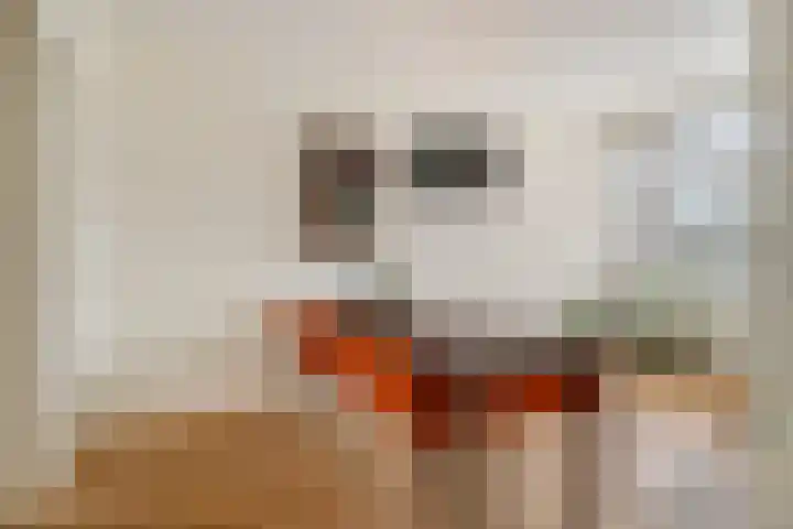 Mient 627 Den Haag thumbnail 6
