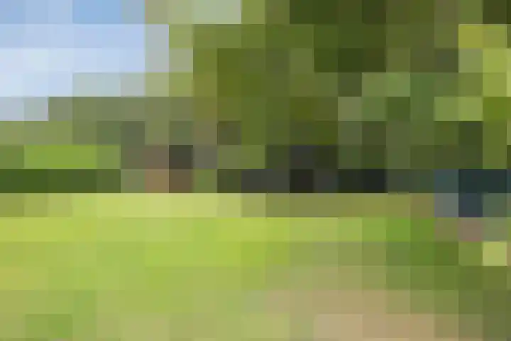 Mient 627 Den Haag thumbnail 9