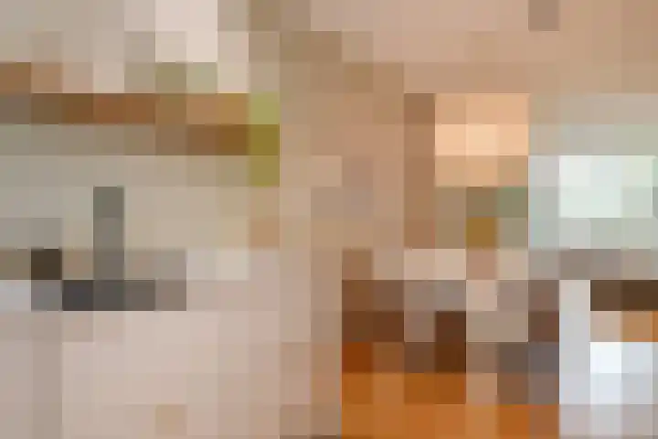 Mient 643 Den Haag thumbnail 17