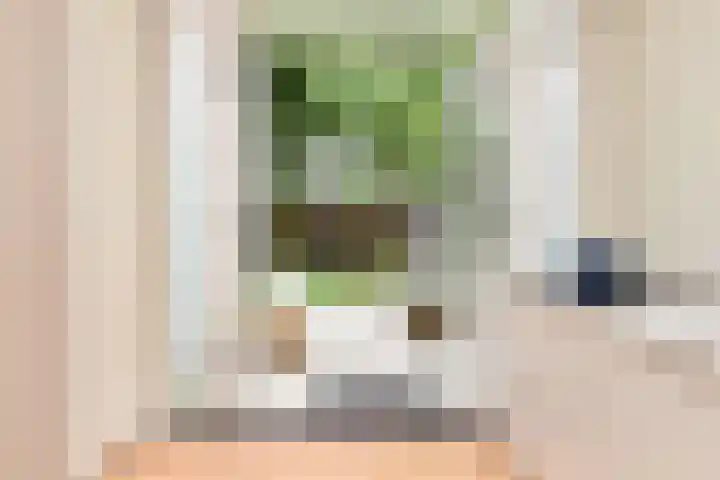 Mient 643 Den Haag thumbnail 19