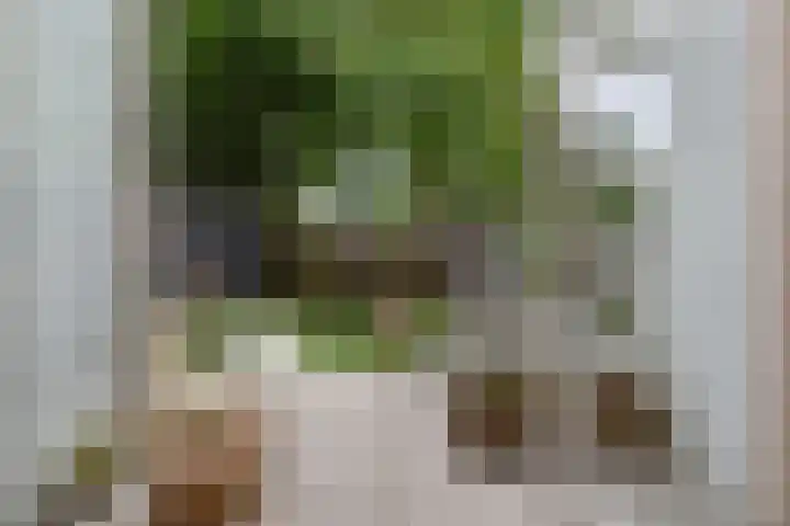 Mient 643 Den Haag thumbnail 20